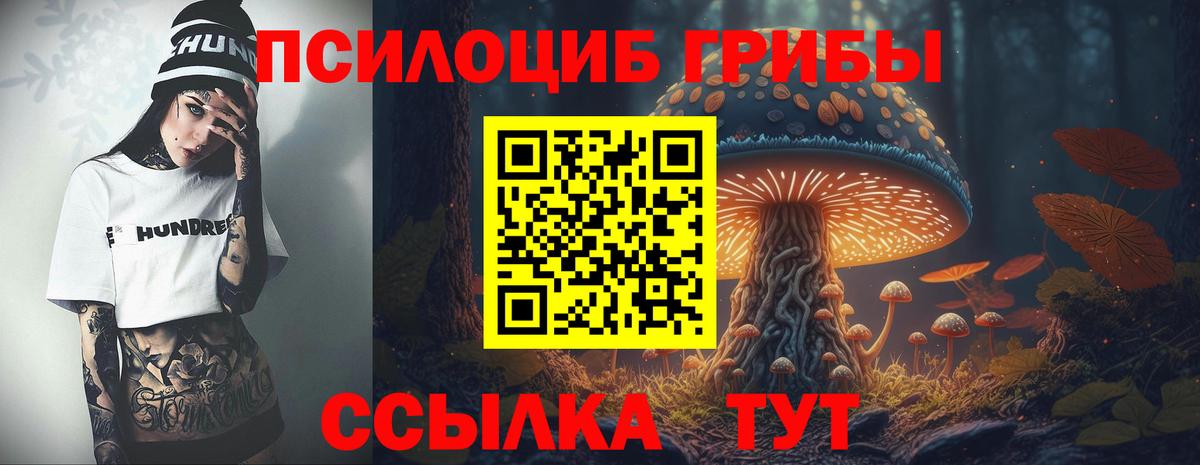 Псилоцибиновые грибы Cubensis Саянск
