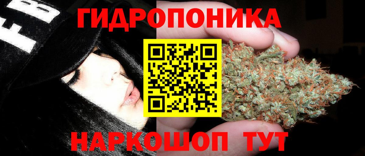 Саянск  Конопля конопля  Шишки марихуана планчик  Вход с VPN 
